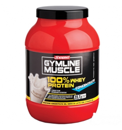 GymLine Muscle 100% WHEY protein concentrate 700g mandorla